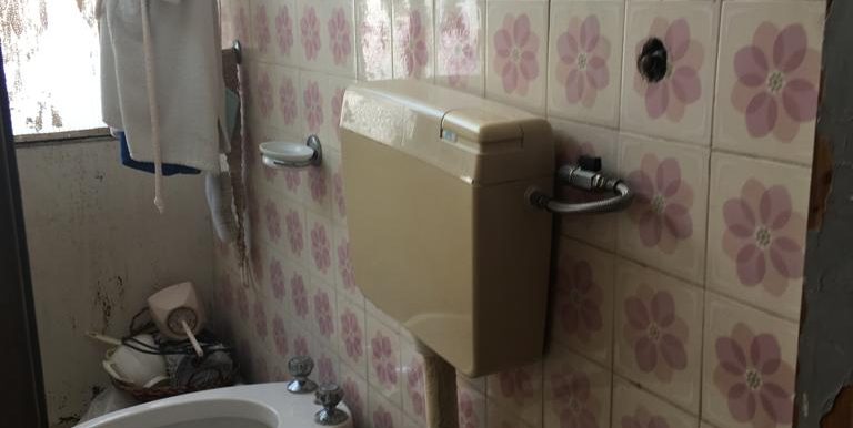 IMG-20220209-WA0013